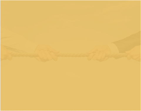 Specialized Lawyer for International Companies