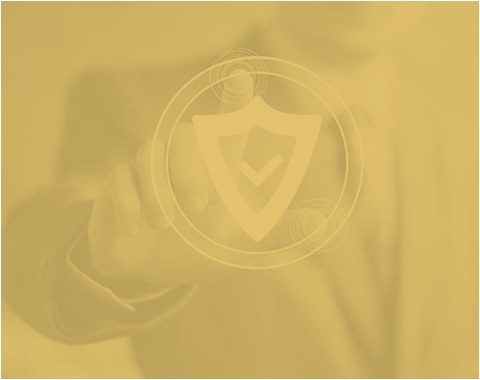 Asset Protection