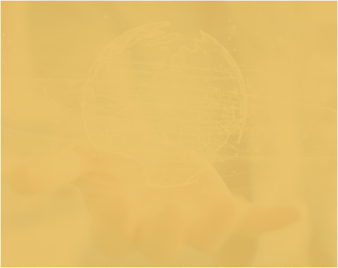 Specialized Lawyer for International Companies