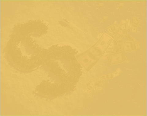 Asset Protection and Offshore Companies